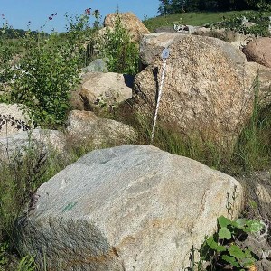 Kamienie do ogrodu