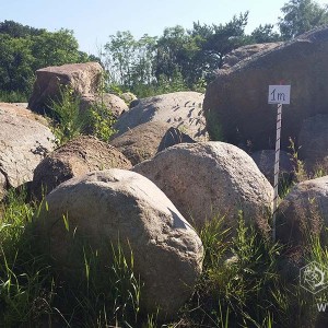 Kamienie do ogrodu